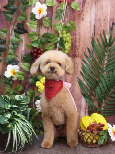 20230804ココアくん